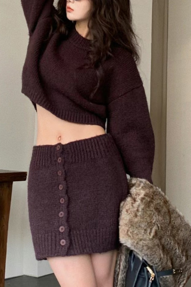 Short Fitted Knit Round Neck Slim Two Piece Set image 3