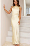 Solid Satin Sexy Backless Cami Maxi Dress image 1