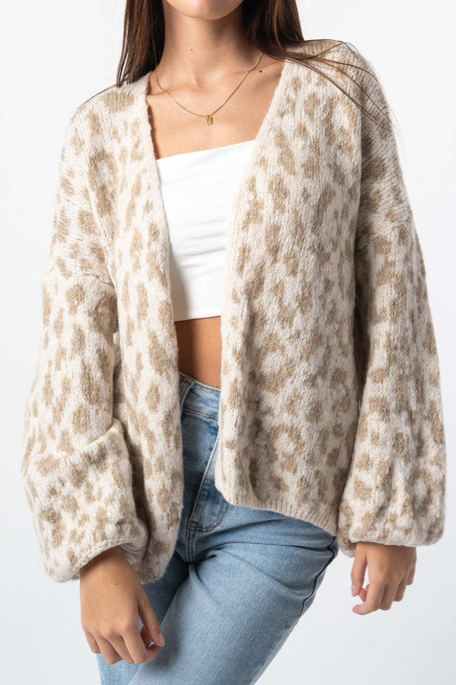 Loose Fit Colorblock Cardigan image 1
