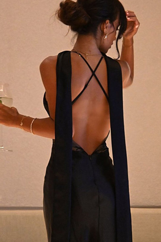 Lace Panel V-Neck Backless Cami Evening Maxi Dress image 4