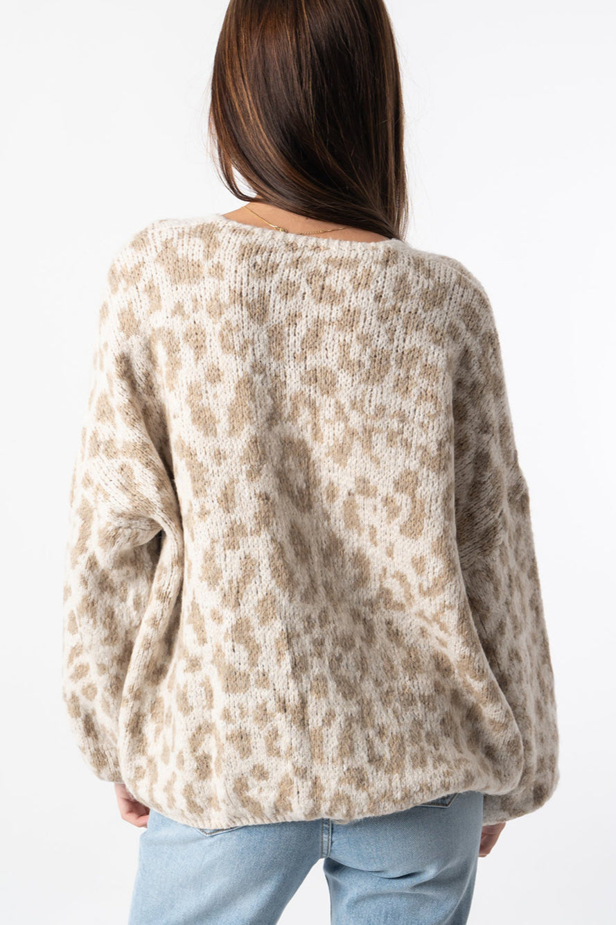 Loose Fit Colorblock Cardigan image 3