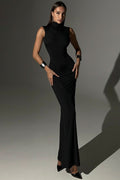 Sleeveless High Neck Maxi Dress image 2