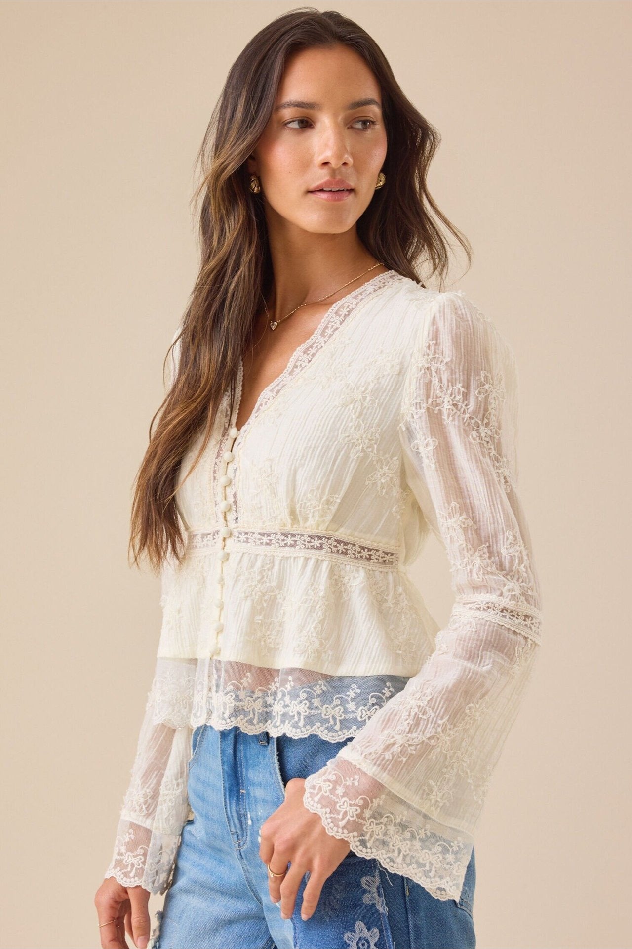 Lace Casual Hollow Out Long Sleeve Blouse image 1