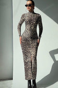 Leopard Print Long Sleeve High Neck Maxi Dress image 1