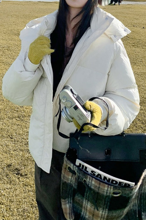 Cropped Plush Lined Oversized Puffer Jacket image 2
