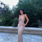 Shiny Sequin Midi Party Dress image 1