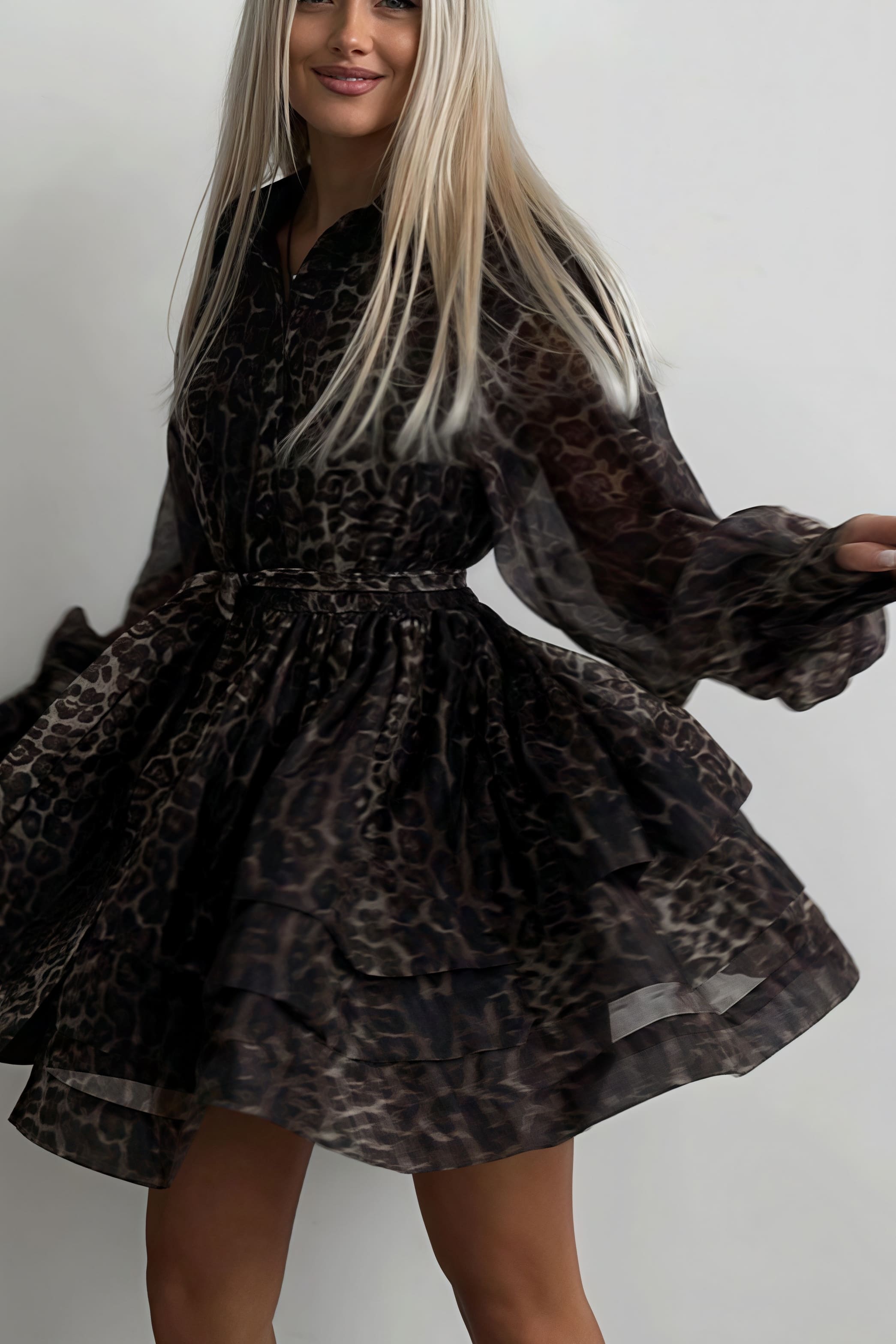Chiffon Leopard Print Long Sleeve Mini Dress image 2