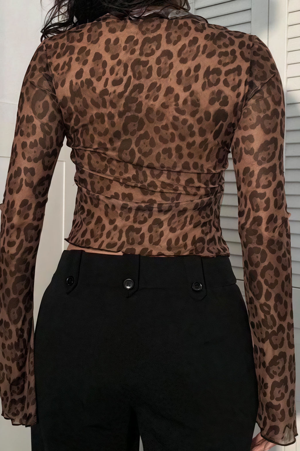 Leopard Print Sheer Tie Long Sleeve Blouse image 4