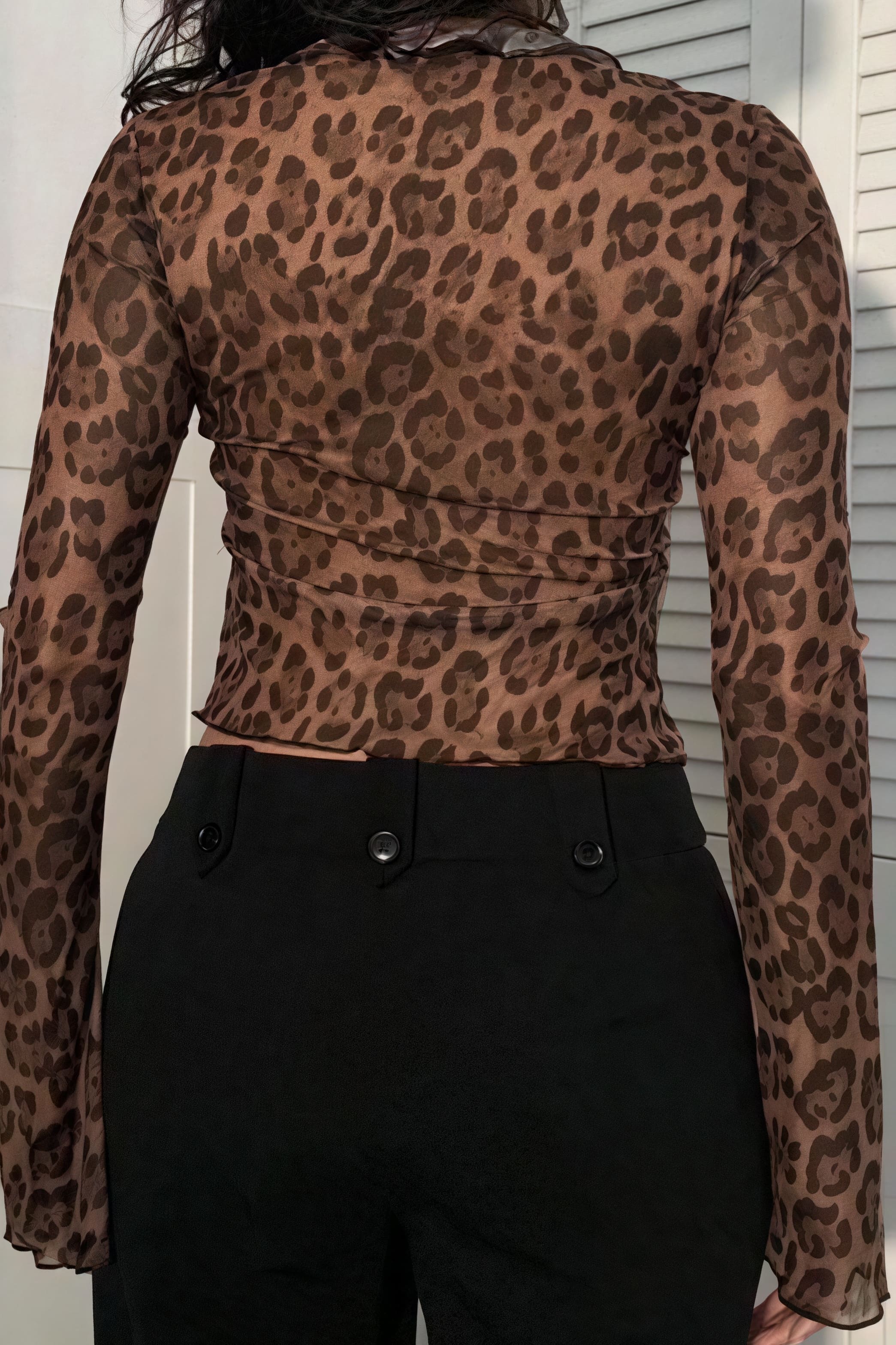 Leopard Print Sheer Tie Long Sleeve Blouse image 4