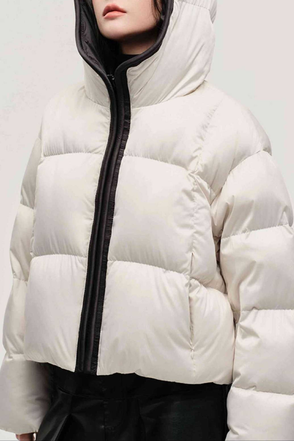 Cozy Hooded Insulated Puffer Jacket image 8