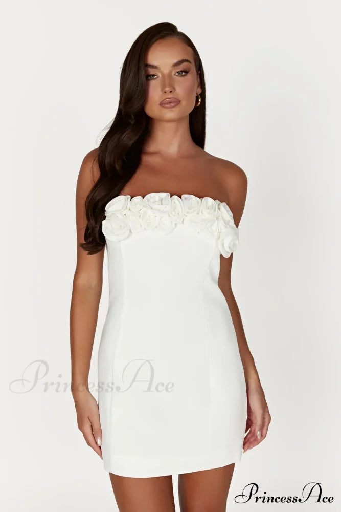 Brooks Rose Stylish Mini Dress image 1