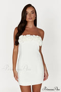 Brooks Rose Stylish Mini Dress image 1
