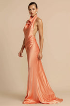 Solid Satin Halter Backless Maxi Dress image 2
