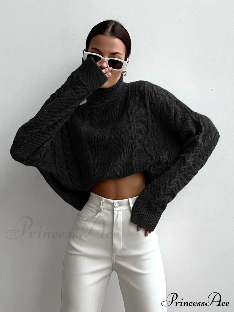 Cable Knit Graceful Turtleneck Oversized Sweater image 8