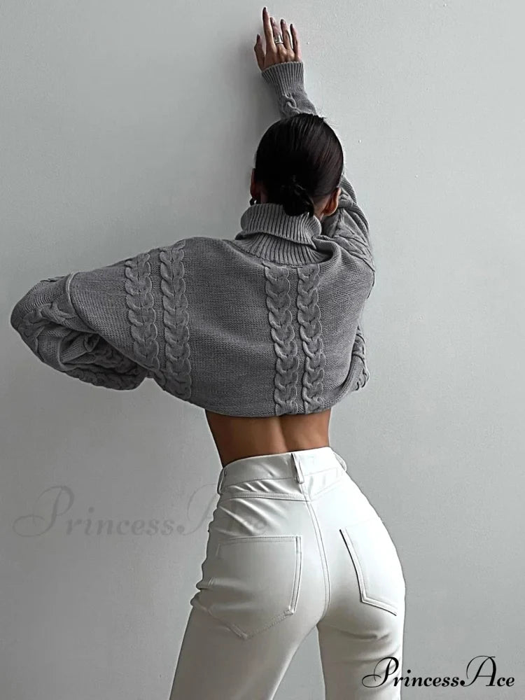 Cable Knit Graceful Turtleneck Oversized Sweater image 4