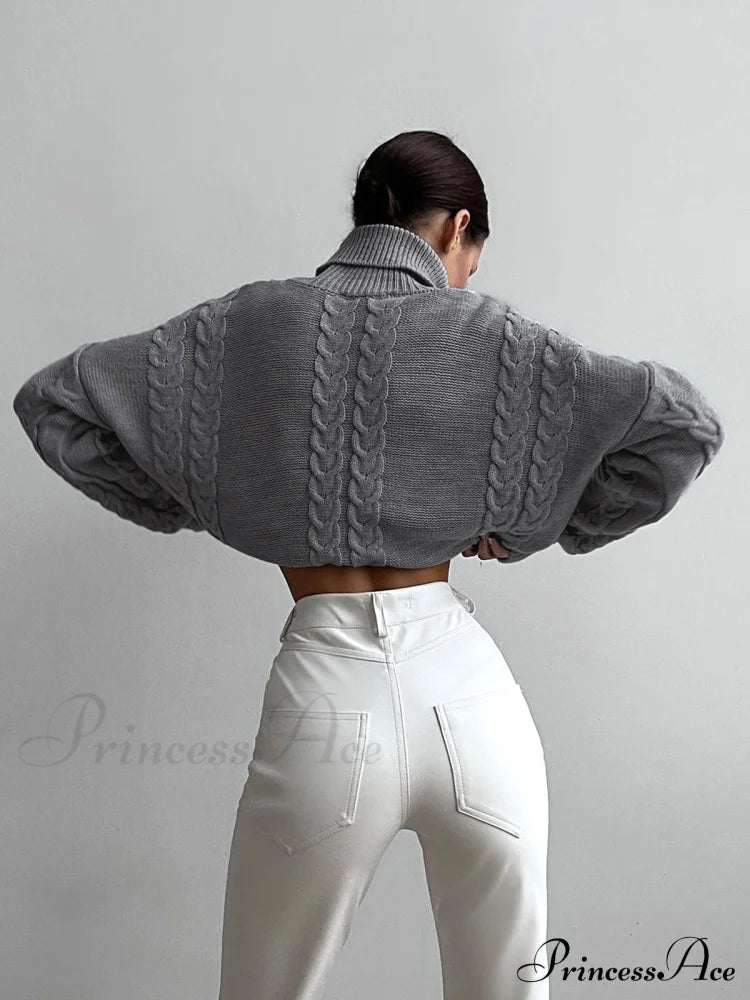 Cable Knit Graceful Turtleneck Oversized Sweater image 2