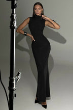 Sleeveless High Neck Maxi Dress image 1