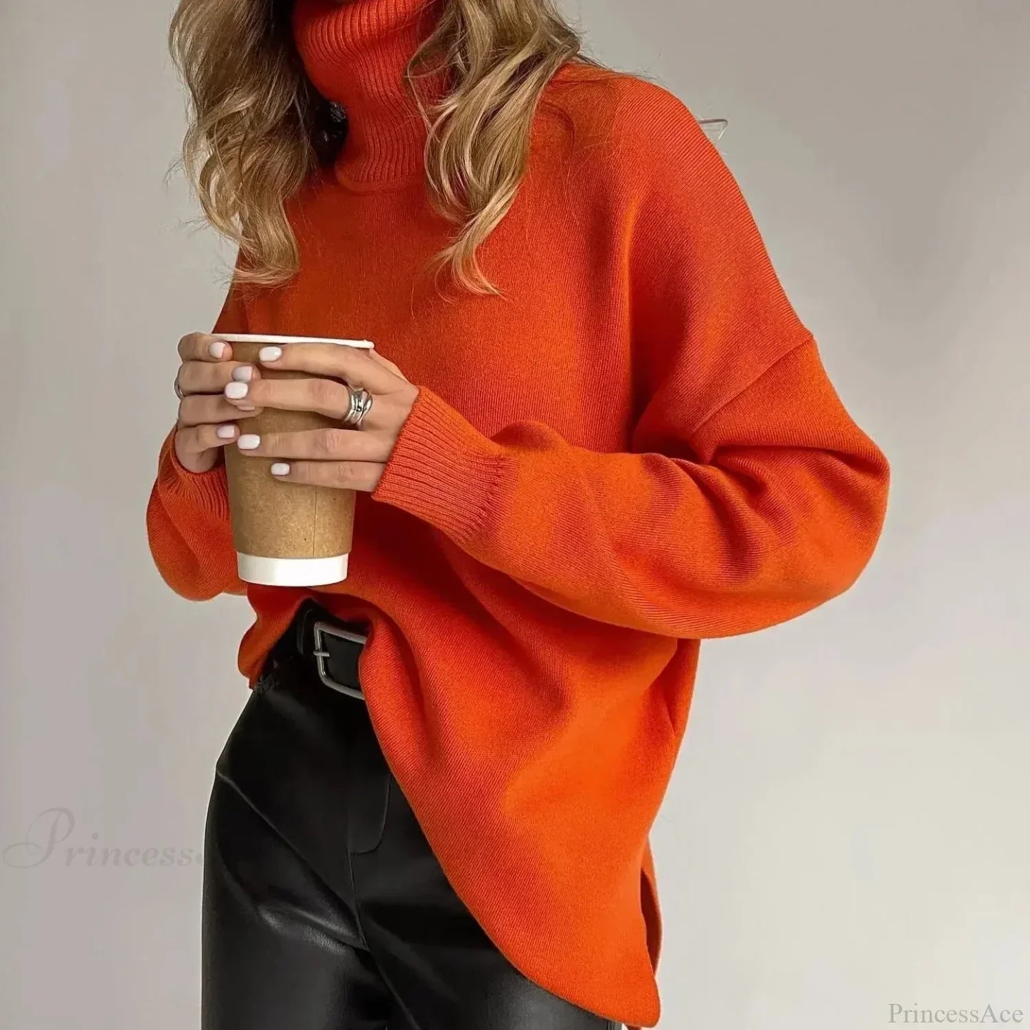 Colorblock Turtleneck Thick Sweater image 1