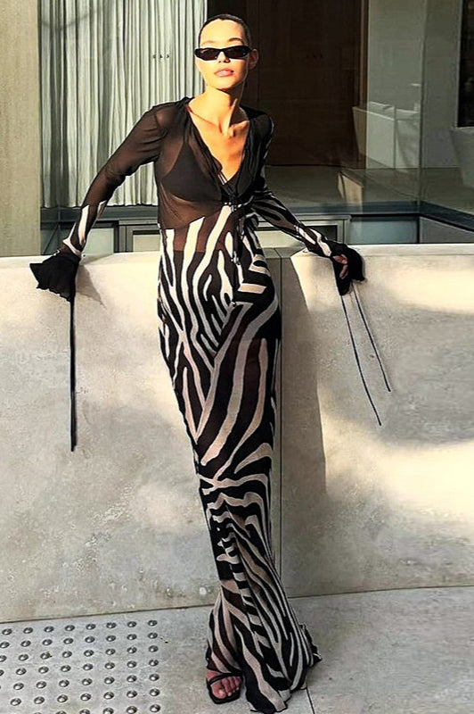 Colorblock Print V Neck Mesh Maxi Dress image 3