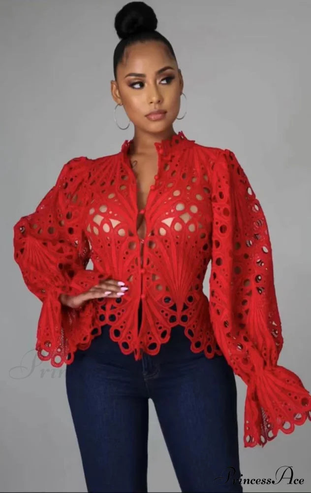 Elegant Lace See Though Ruffles Lantern Blouse image 5