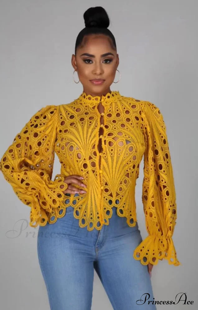 Elegant Lace See Though Ruffles Lantern Blouse image 4