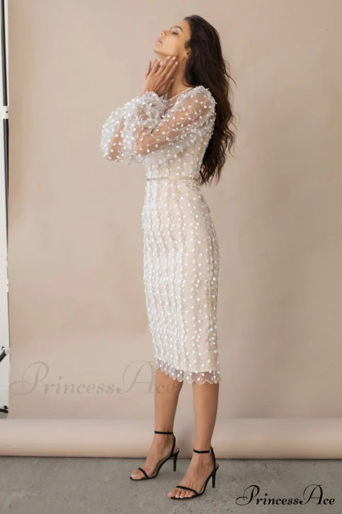 Embroidered Sheer Fitted Dress image 3