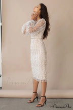 Embroidered Sheer Fitted Dress image 3