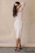 Embroidered Sheer Fitted Dress image 4