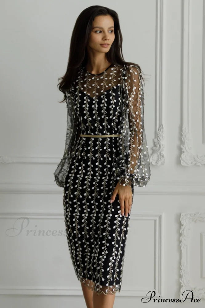 Embroidered Sheer Fitted Dress image 6