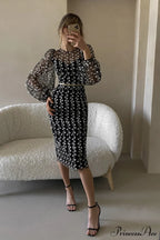 Embroidered Sheer Fitted Dress image 7