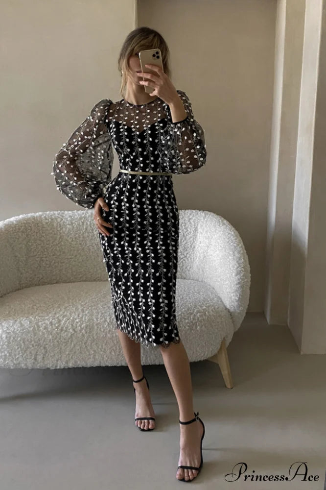 Embroidered Sheer Fitted Dress image 7