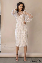 Embroidered Sheer Fitted Dress image 1