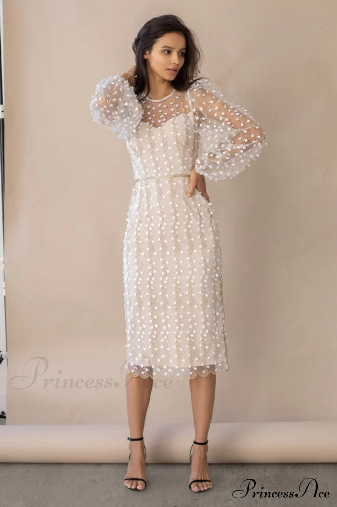 Embroidered Sheer Fitted Dress image 1