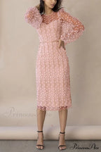 Embroidered Sheer Fitted Dress image 8