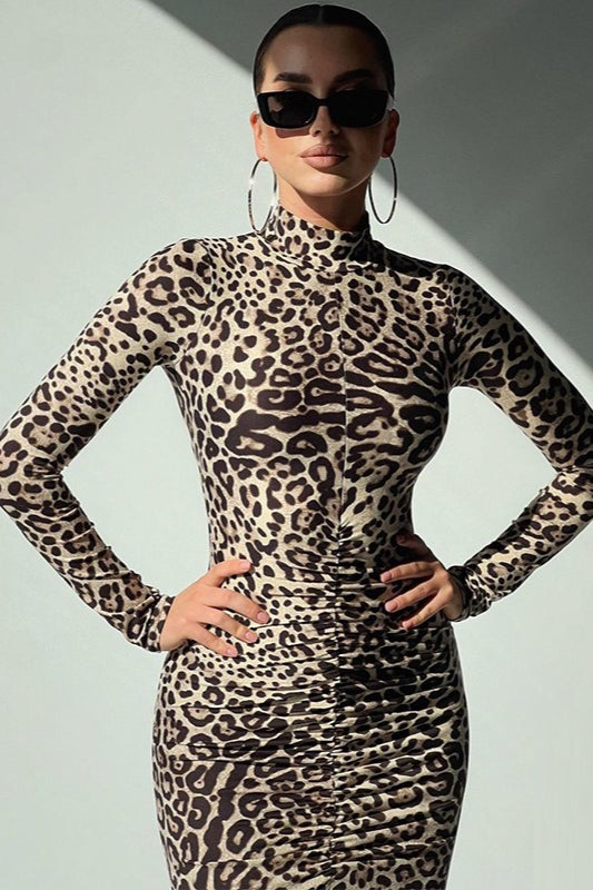 Leopard Print Long Sleeve High Neck Maxi Dress image 3