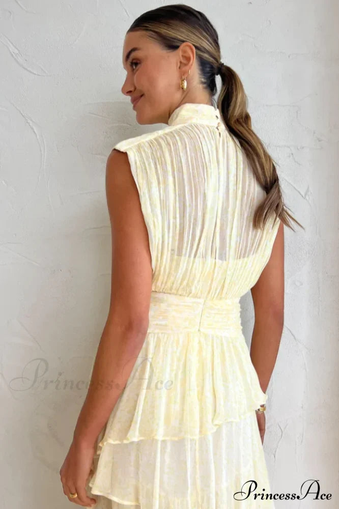 Faye Sleeveless Stylish Ruched Midi Dress image 5