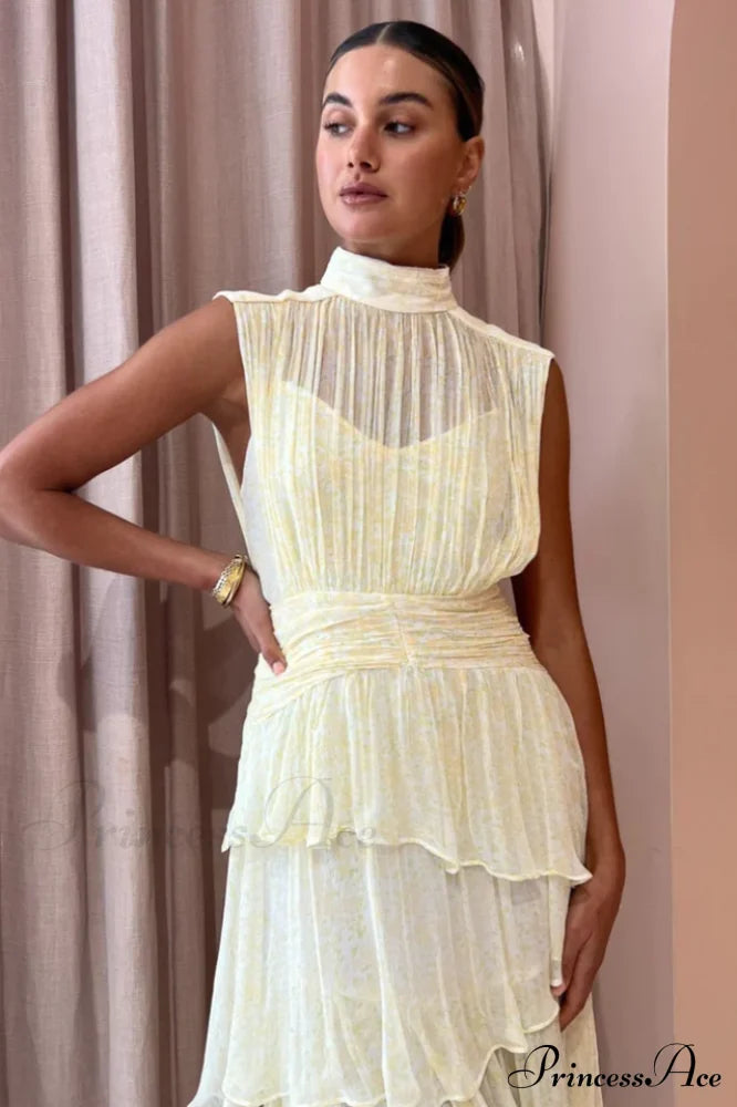 Faye Sleeveless Stylish Ruched Midi Dress image 3