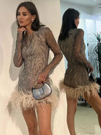 Feather Mesh Sheer Sleeve Party Dress image 4