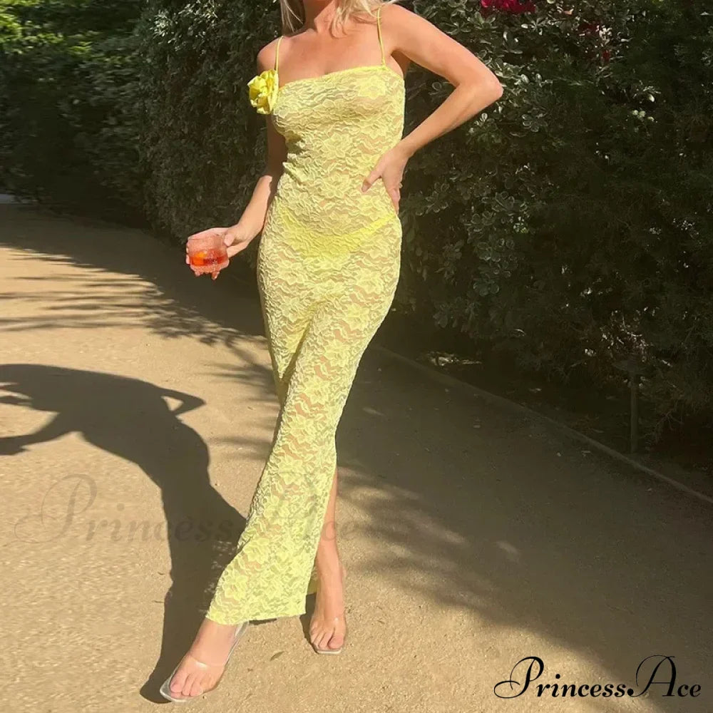 Floral Sheer Lace Maxi Dress image 1