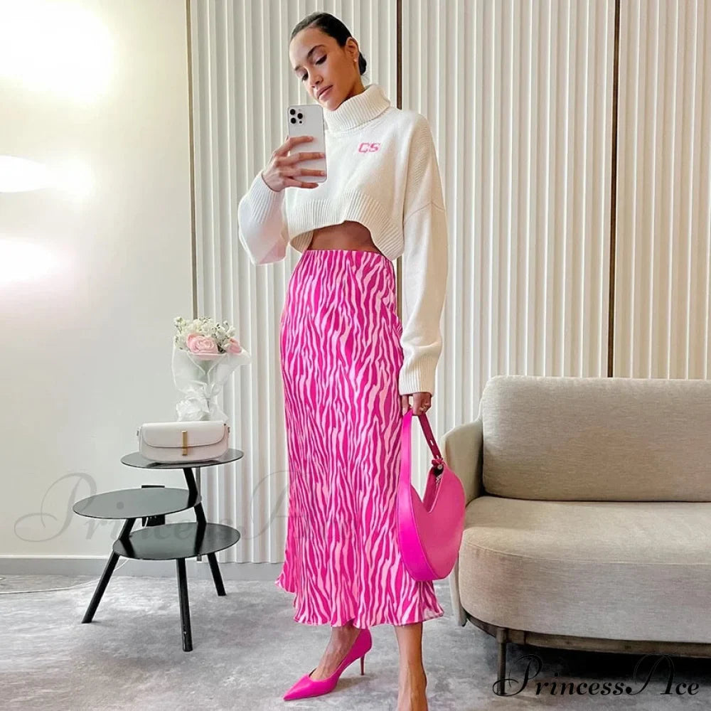 JAVIER Elegant ZEBRA SKIRT image 3