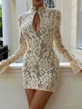 Lace Hollow-Out Long Sleeve Mini Dress image 3