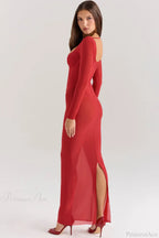 Mesh Long Sleeve Fitted Elegant Maxi Dress image 4