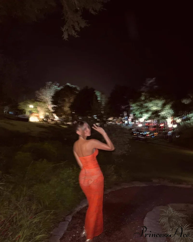 Orange Sheer Lace Charming Draped Tube Maxi Dress image 10