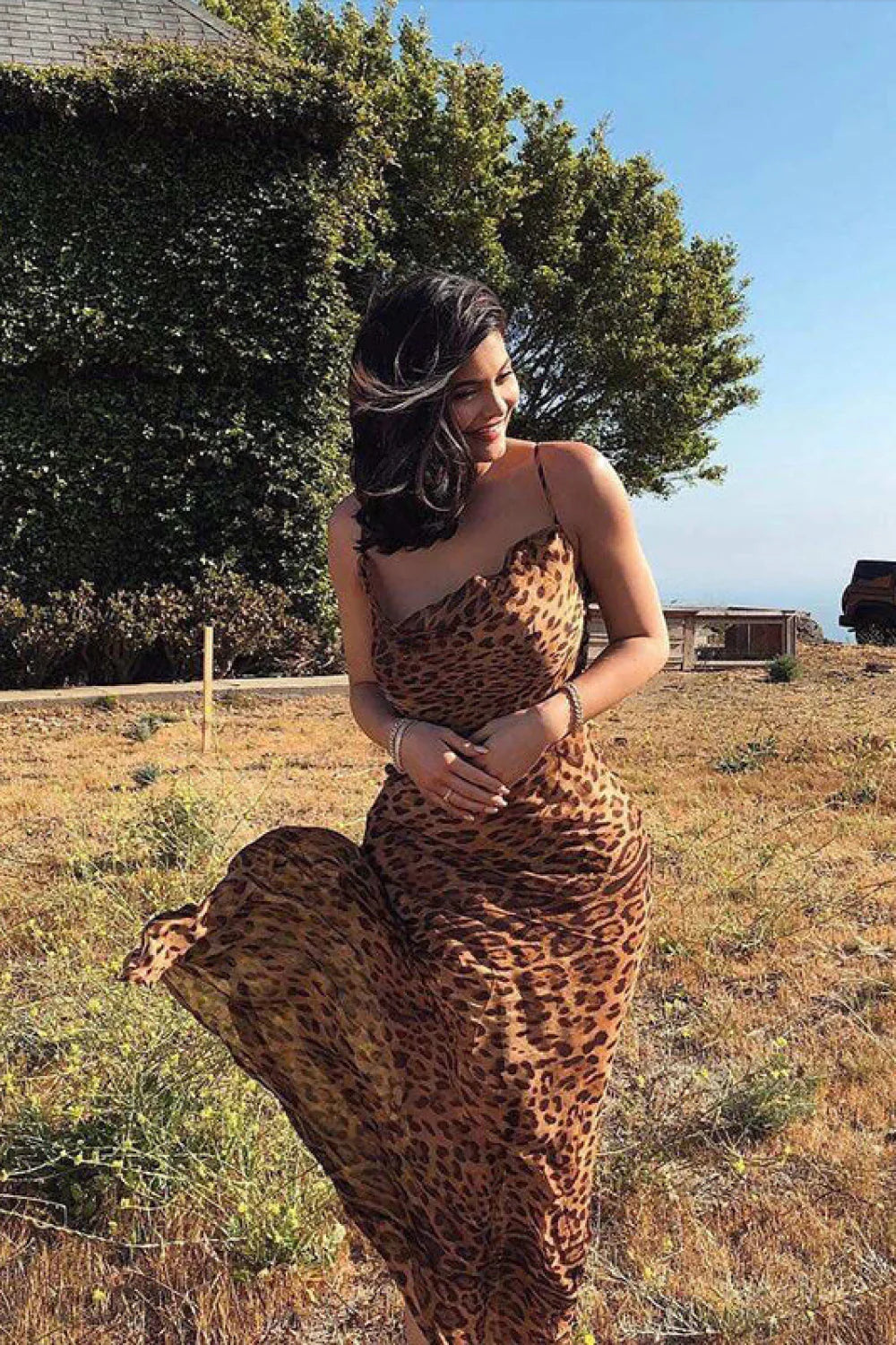 Sexy Leopard Spaghetti Strap Backless Maxi Dress image 3
