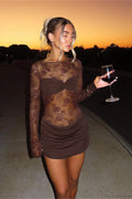 Sexy Sheer Lace Long Sleeve Bodycon Mini Dress image 1