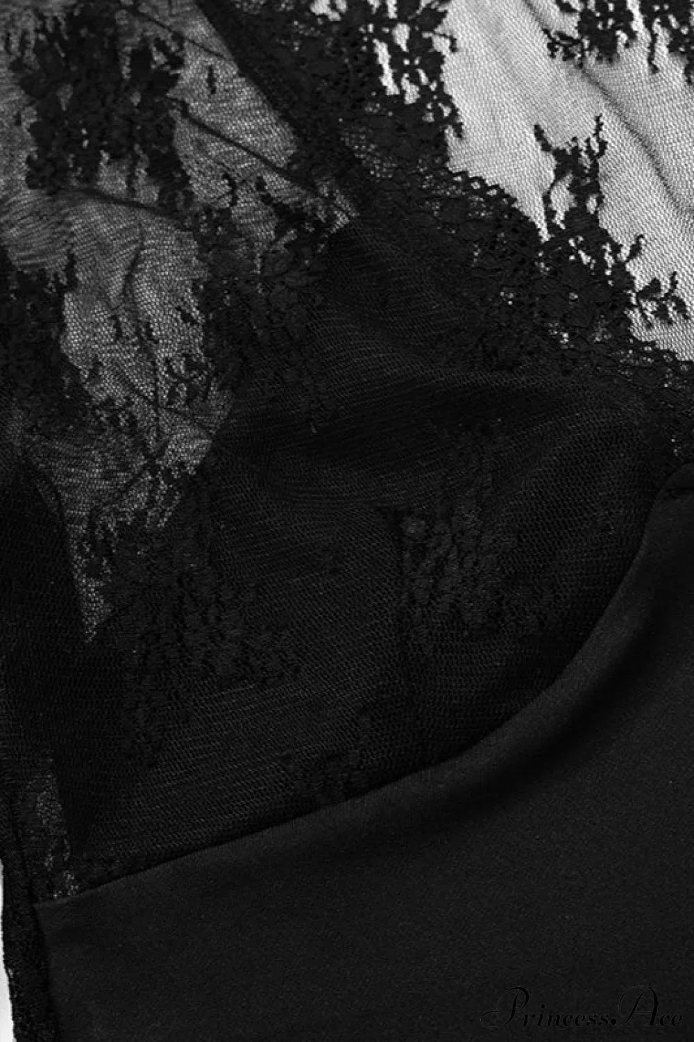 Sheer Lace Mesh Long Sleeve Crop Top image 3