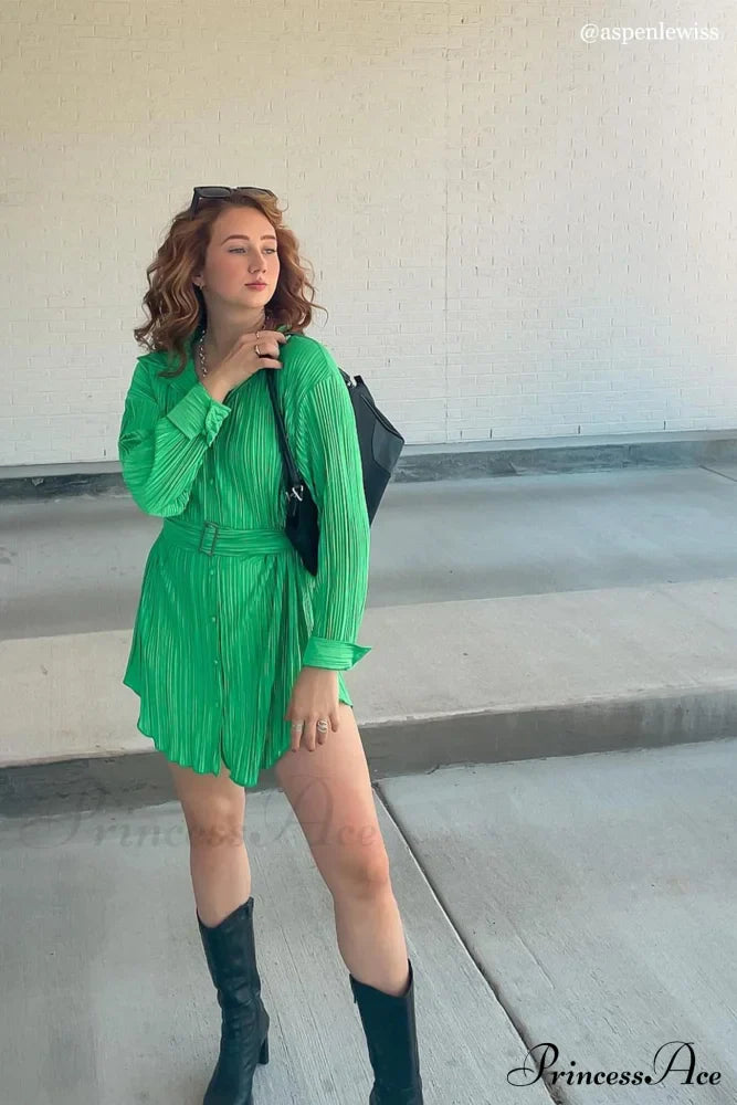 Strappy Waisted Pleated Shirts Dress image 2