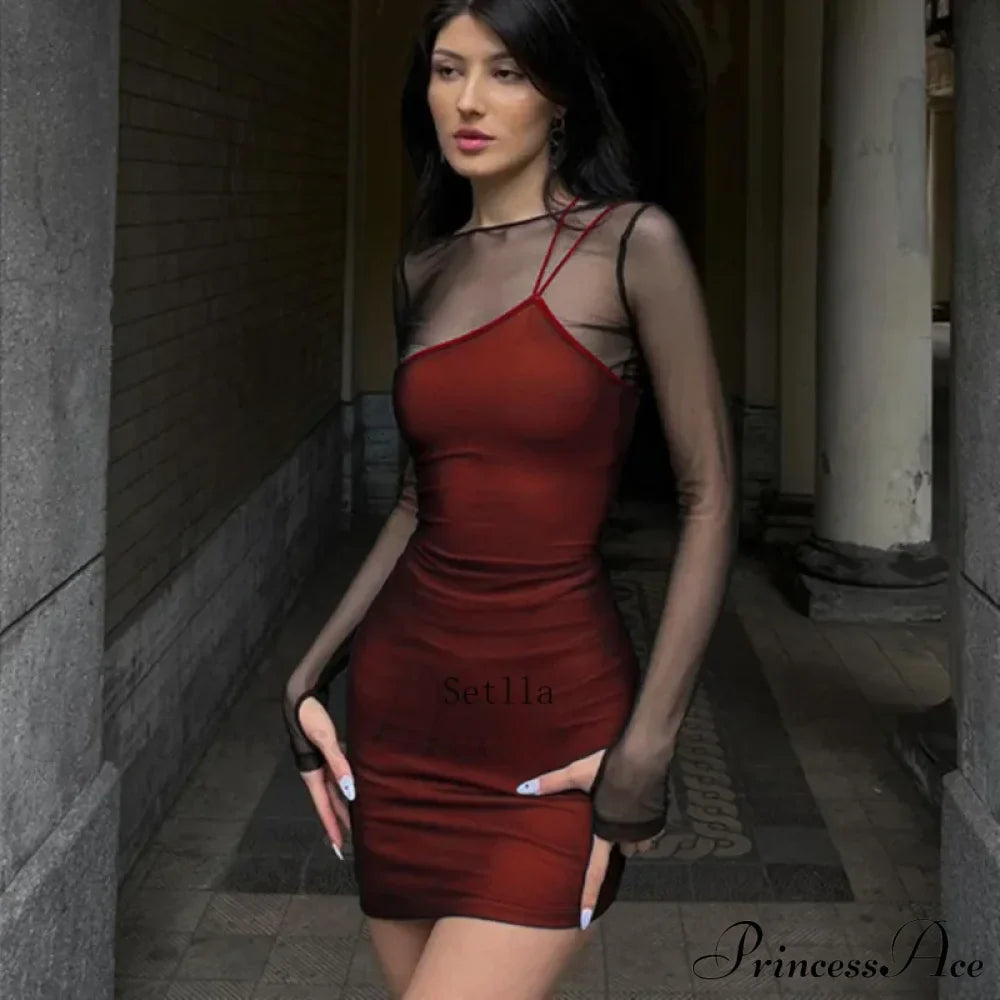 Vintage Mesh Sheer Long Sleeve Mini Dress image 5